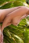 Perfekt geprägt Asiatische Babe Sharon Lee Posen in Thong und Neckt Mit Ihr sexy Titten
