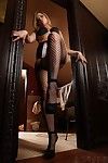 sessualmente eccitato Biondo Bambola Alexis texas indossa sexy calze di nylon come questo pulcino gioca Con lei è su il Piano