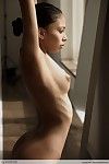 Tight latina Alexis Love with firm tits and tiny ass poses naked by the window