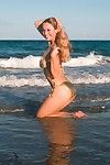 性感的 浓郁的 长腿 模型 安妮塔 黑暗 在 比基尼 姿势 上 的 海滩 通过 的 大海