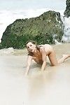 blonde Plage Babe ashley les feux de la modélisation Topless dans bikini fond