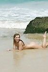 金发女郎 海滩 贝贝 阿什莉 火灾 建模 赤裸上身的 在 比基尼 底部