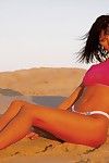 La metà nudo o nudo questo Di lusso Ragazza Anita Bionda guarda Incredibile su il spiaggia