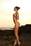 piękne w pełni Nagie Brunetka model melissę z Idealne Nogi postawy na w dziki Plaża