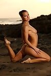 Bella completamente nudo bruna modello Melisa Con Perfetto gambe pose su il wild Spiaggia